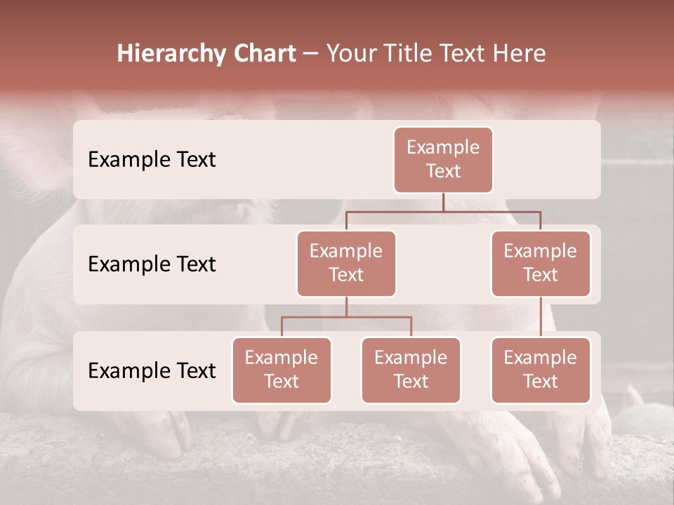 Two Pigs Sitting Next To Each Other With Their Mouths Open PowerPoint Template
