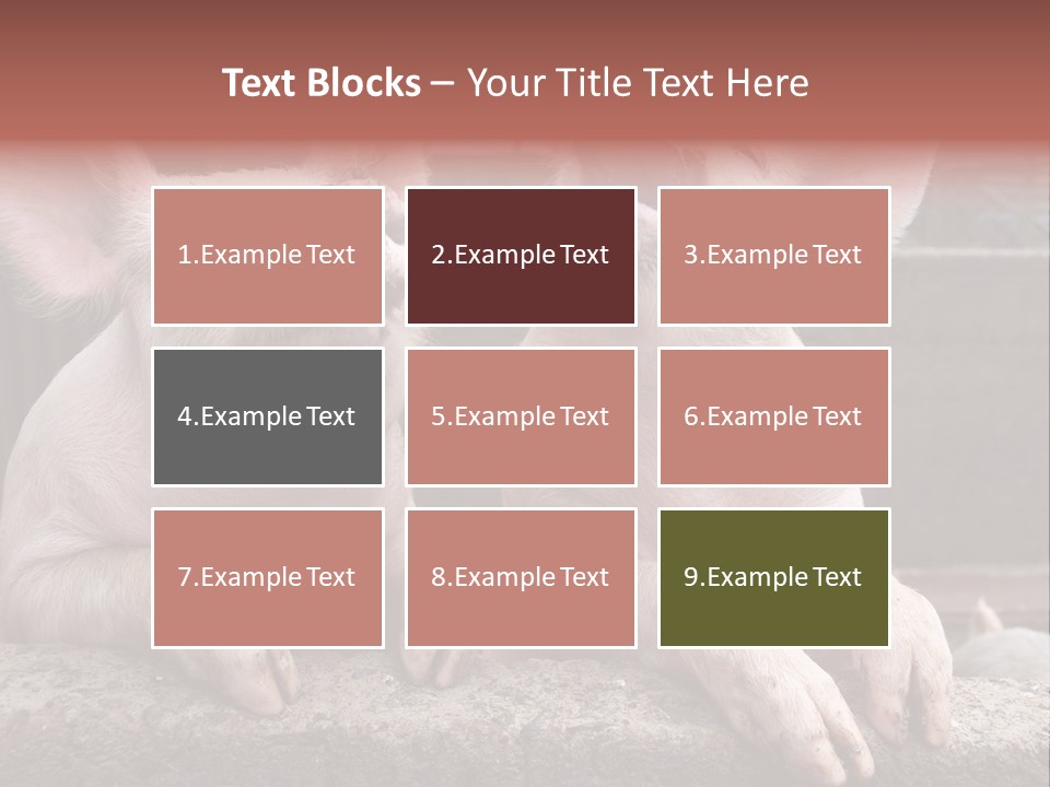 Two Pigs Sitting Next To Each Other With Their Mouths Open PowerPoint Template