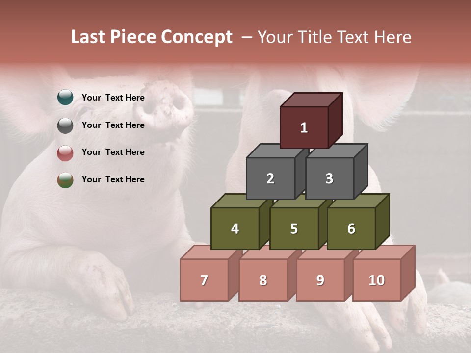 Two Pigs Sitting Next To Each Other With Their Mouths Open PowerPoint Template