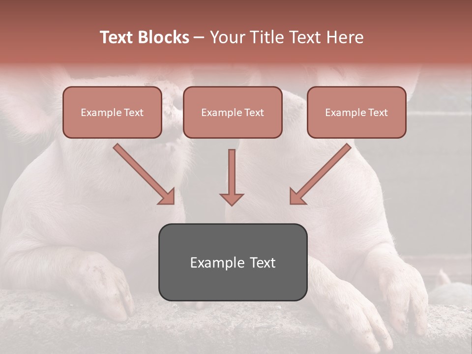 Two Pigs Sitting Next To Each Other With Their Mouths Open PowerPoint Template