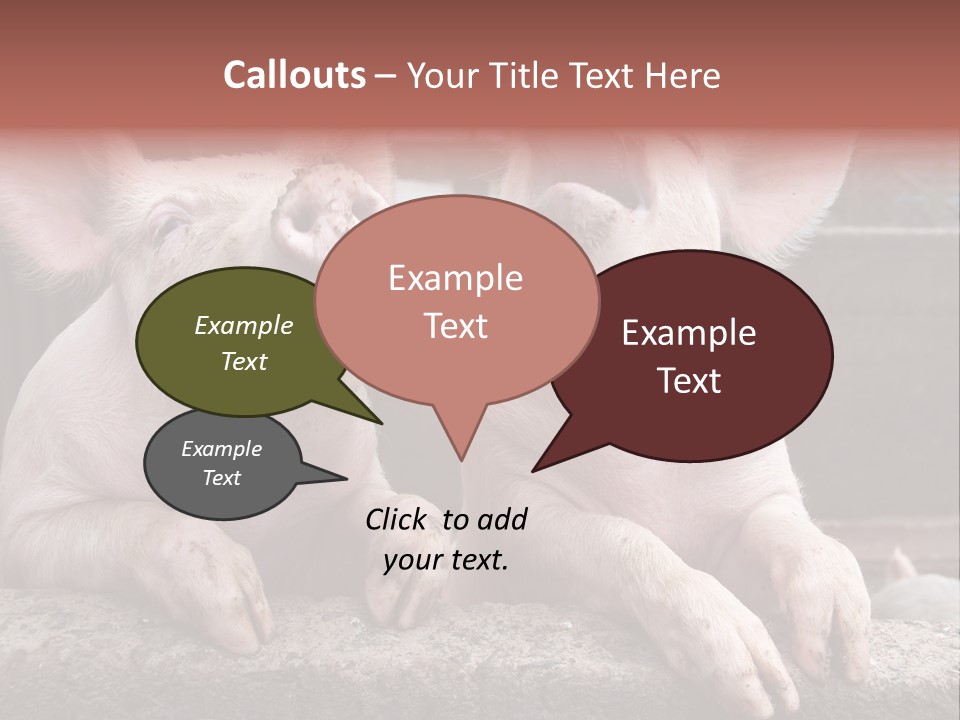 Two Pigs Sitting Next To Each Other With Their Mouths Open PowerPoint Template