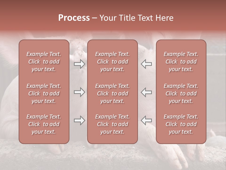 Two Pigs Sitting Next To Each Other With Their Mouths Open PowerPoint Template
