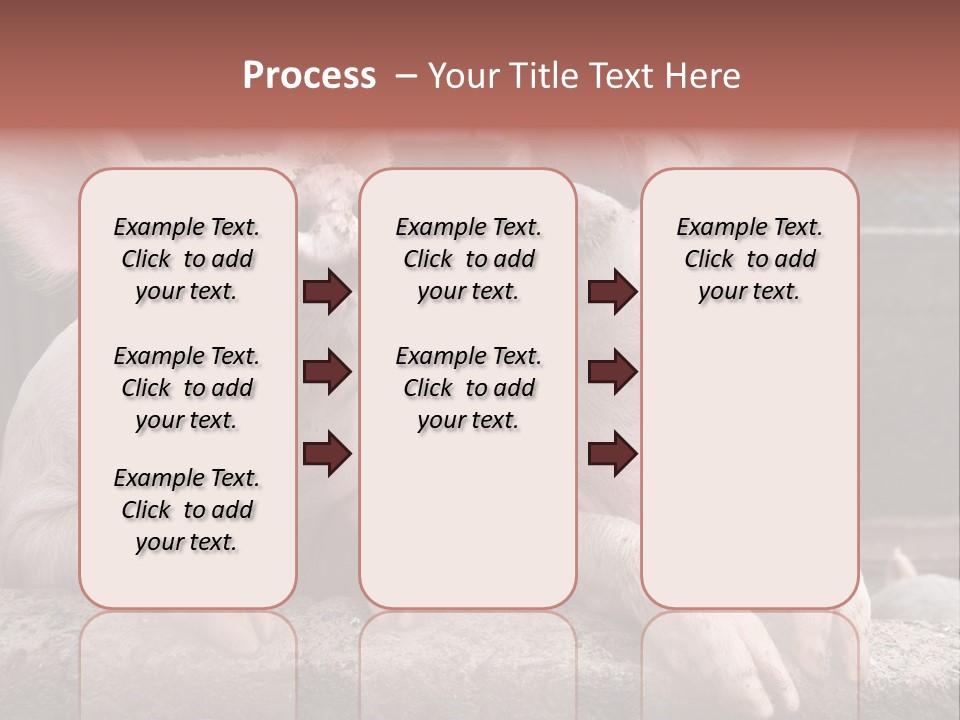 Two Pigs Sitting Next To Each Other With Their Mouths Open PowerPoint Template