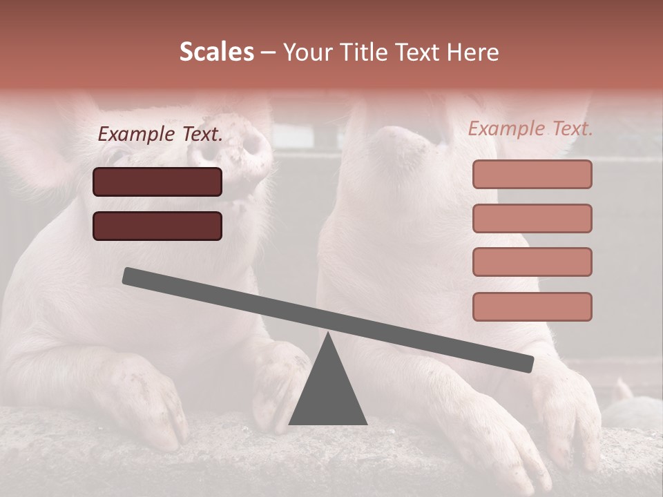 Two Pigs Sitting Next To Each Other With Their Mouths Open PowerPoint Template