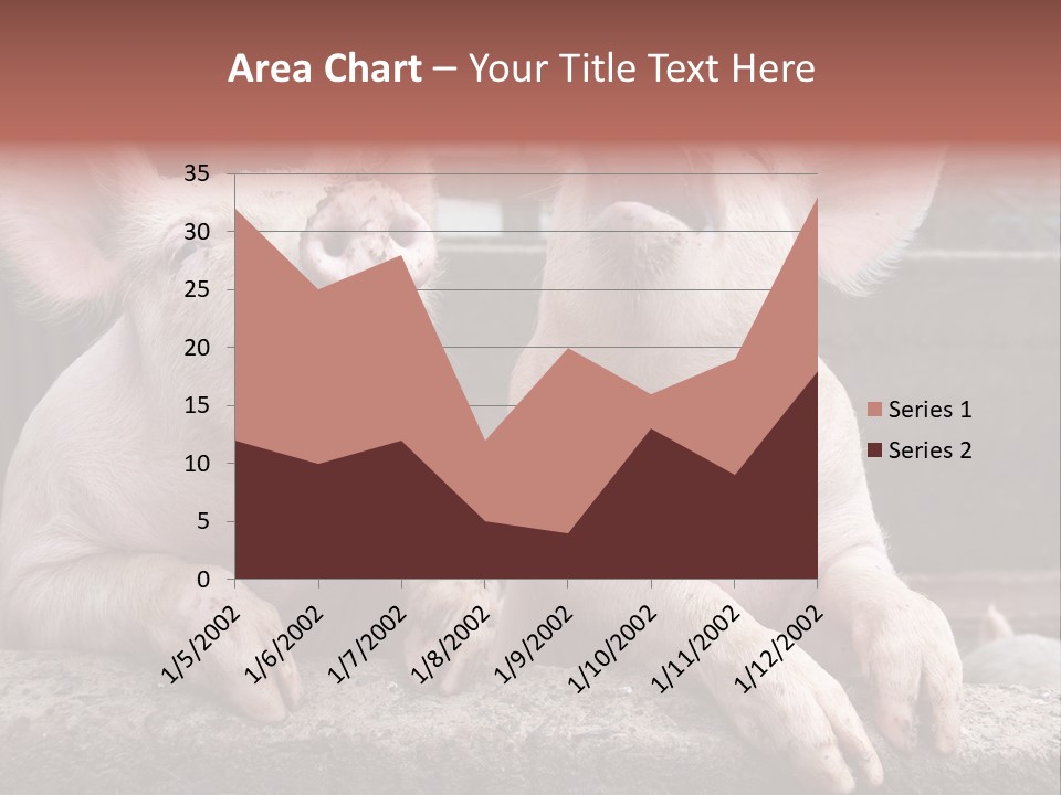 Two Pigs Sitting Next To Each Other With Their Mouths Open PowerPoint Template