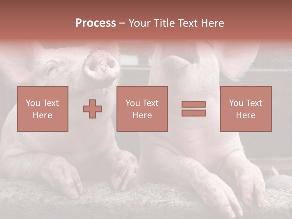 Two Pigs Sitting Next To Each Other With Their Mouths Open PowerPoint Template