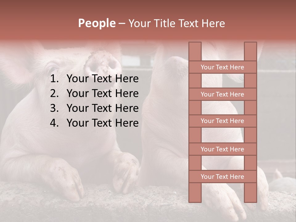 Two Pigs Sitting Next To Each Other With Their Mouths Open PowerPoint Template