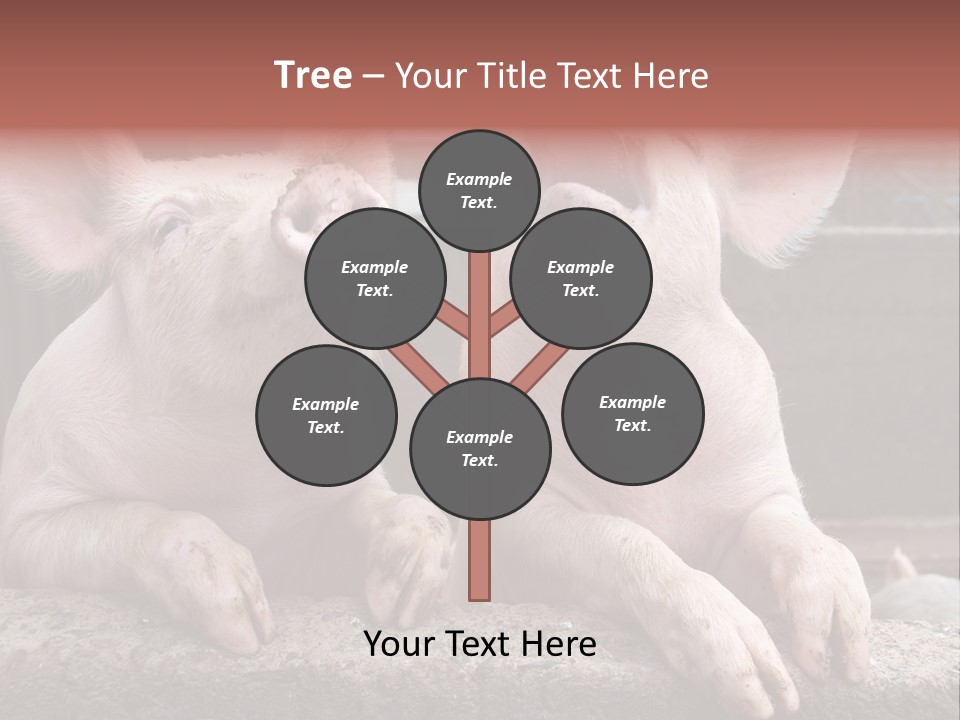 Two Pigs Sitting Next To Each Other With Their Mouths Open PowerPoint Template