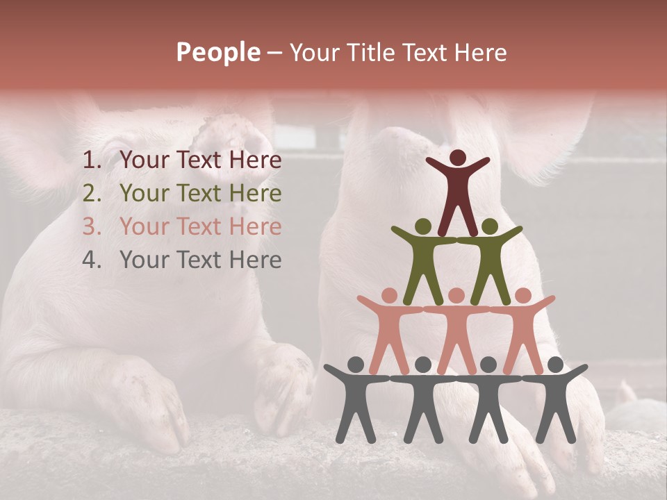 Two Pigs Sitting Next To Each Other With Their Mouths Open PowerPoint Template