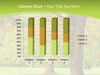 Green Solitude Serene PowerPoint Template