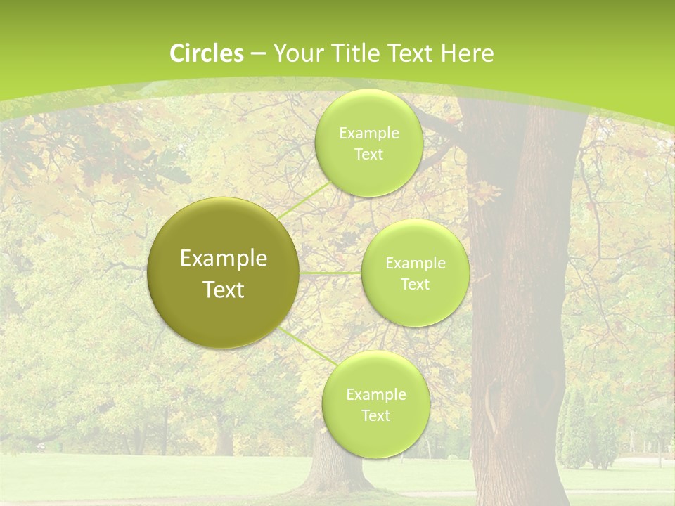 Green Solitude Serene PowerPoint Template