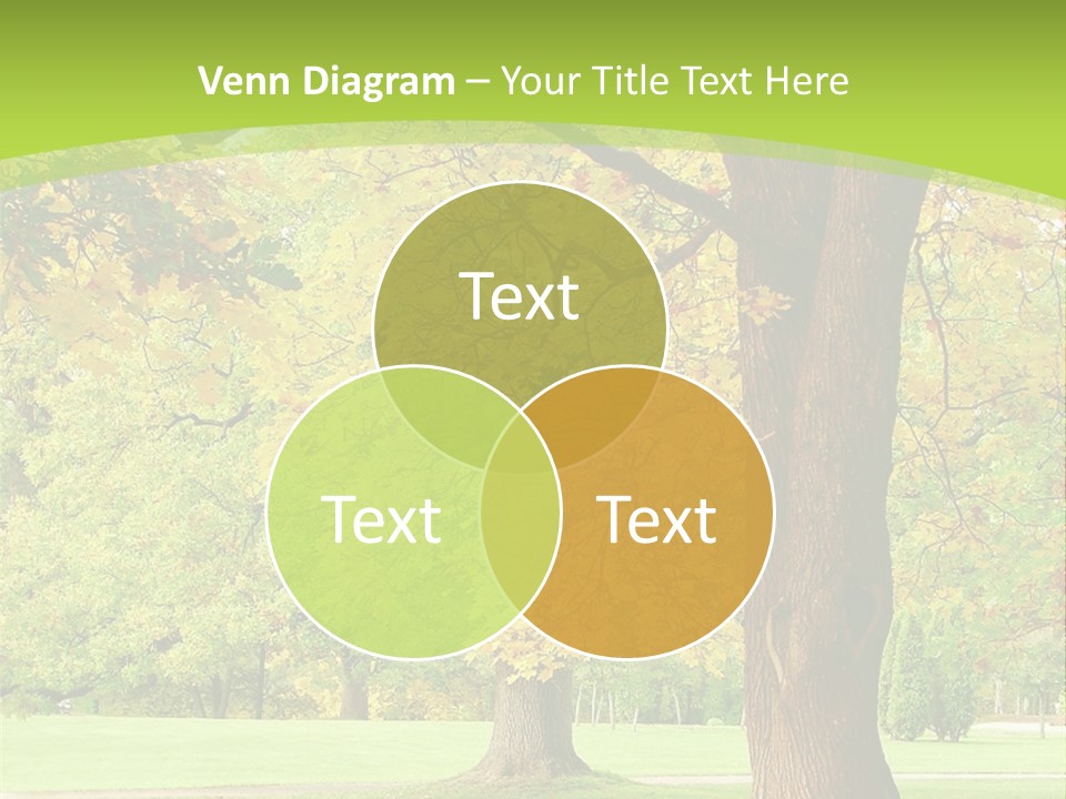 Green Solitude Serene PowerPoint Template
