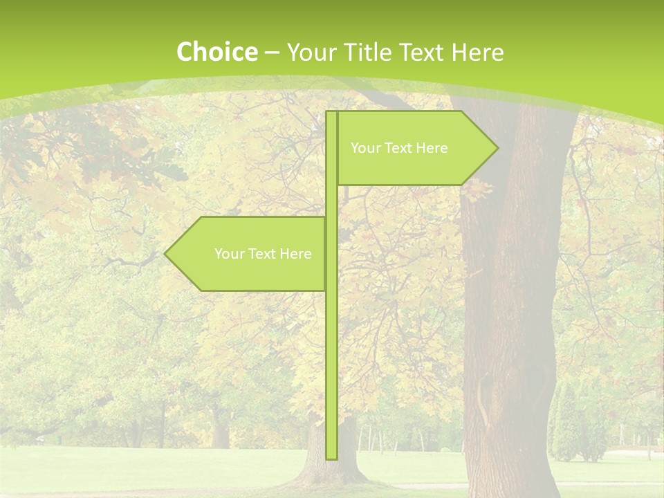 Green Solitude Serene PowerPoint Template