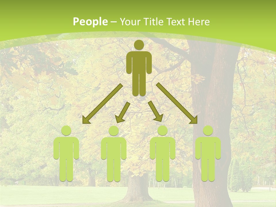 Green Solitude Serene PowerPoint Template