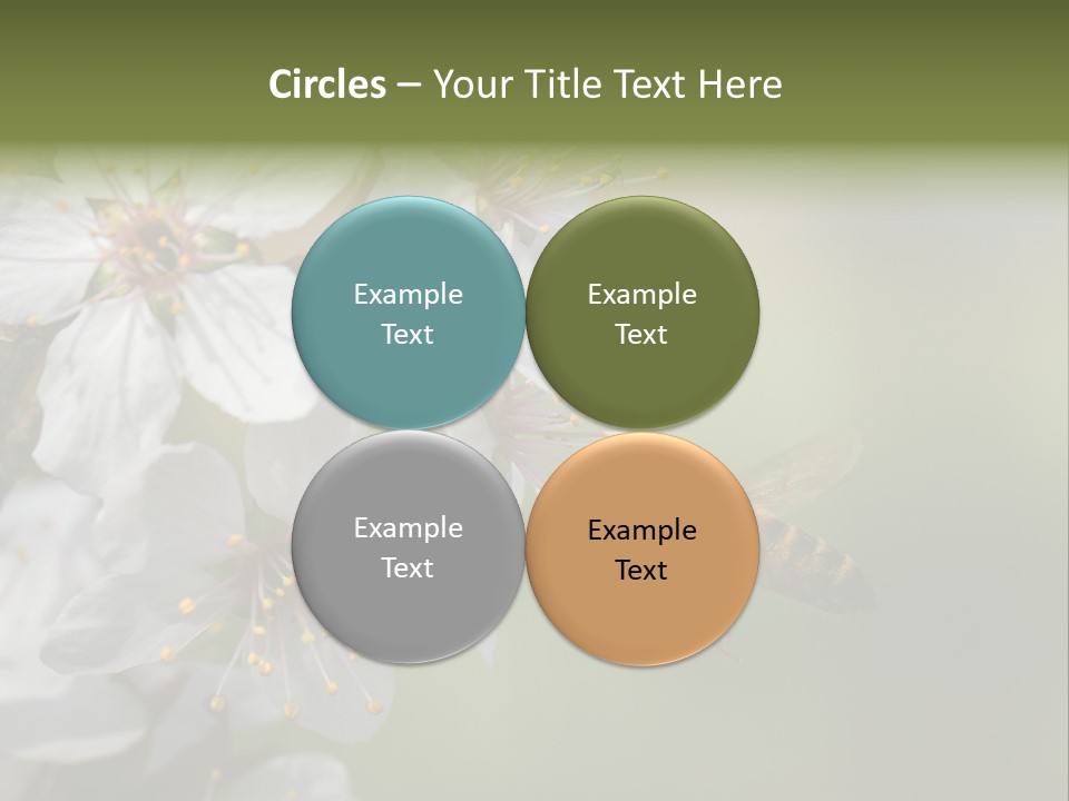Nature Insect Flight PowerPoint Template