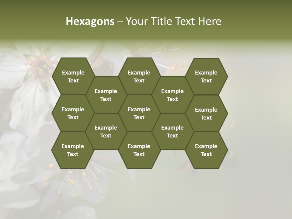 Nature Insect Flight PowerPoint Template