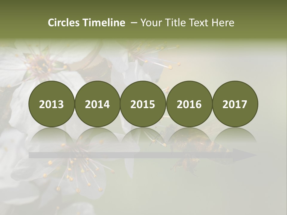 Nature Insect Flight PowerPoint Template