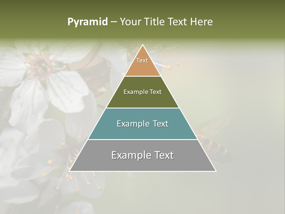 Nature Insect Flight PowerPoint Template