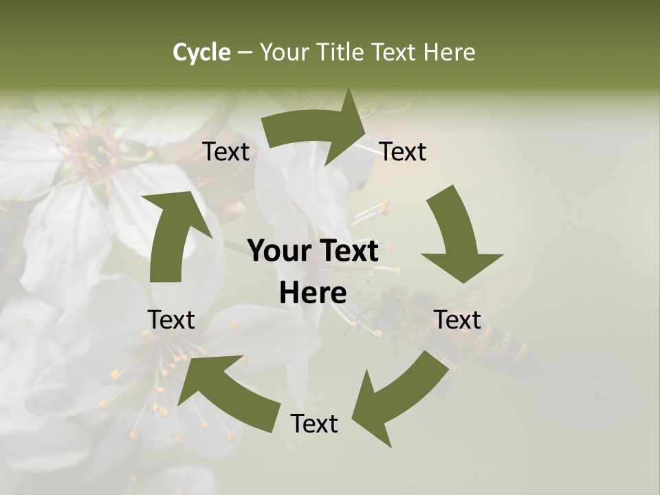 Nature Insect Flight PowerPoint Template