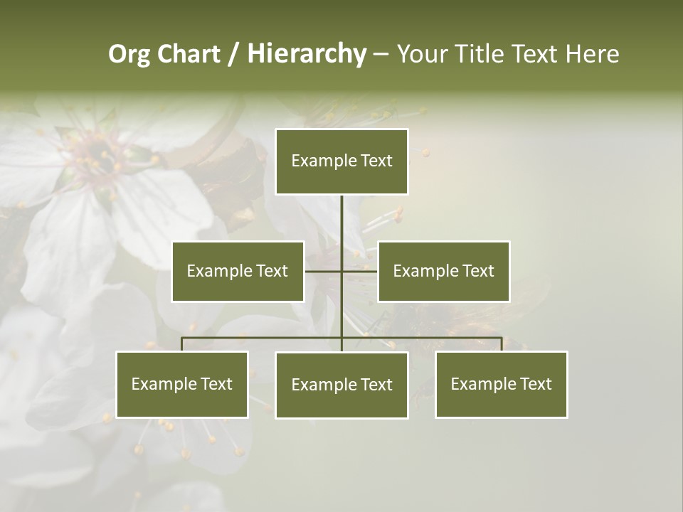 Nature Insect Flight PowerPoint Template