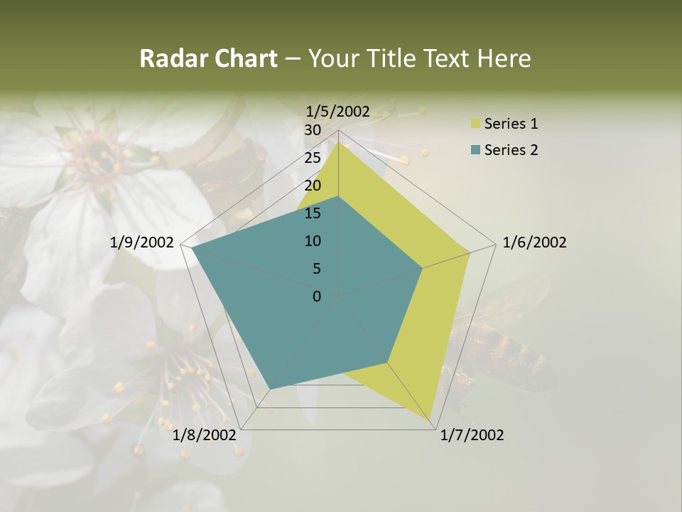 Nature Insect Flight PowerPoint Template