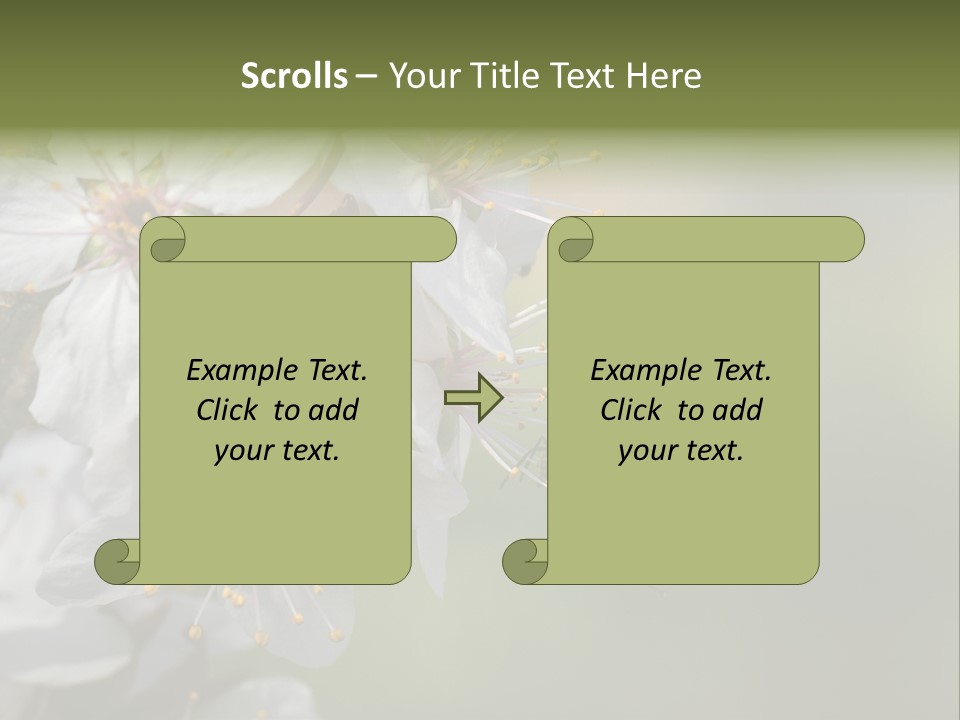 Nature Insect Flight PowerPoint Template