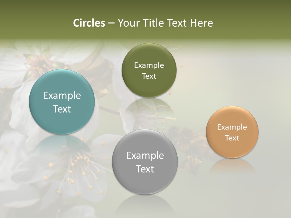 Nature Insect Flight PowerPoint Template