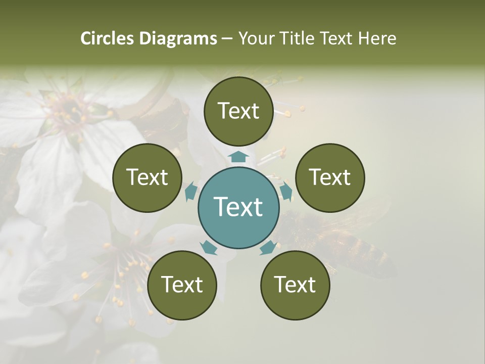 Nature Insect Flight PowerPoint Template