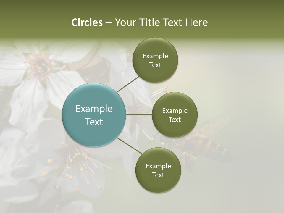 Nature Insect Flight PowerPoint Template