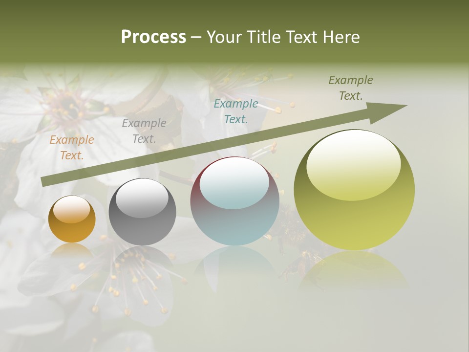 Nature Insect Flight PowerPoint Template