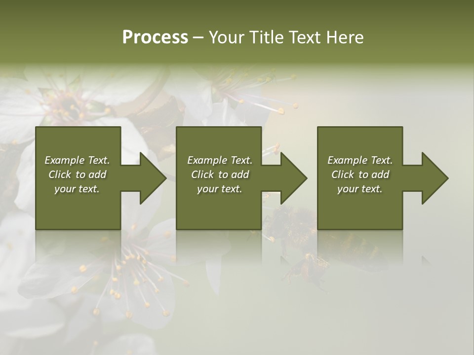 Nature Insect Flight PowerPoint Template
