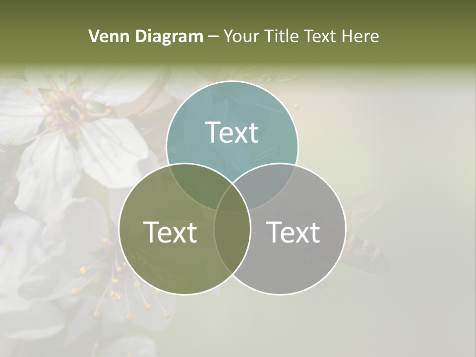Nature Insect Flight PowerPoint Template