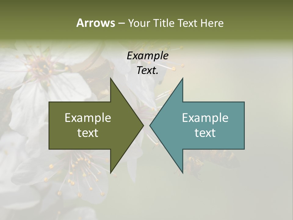 Nature Insect Flight PowerPoint Template
