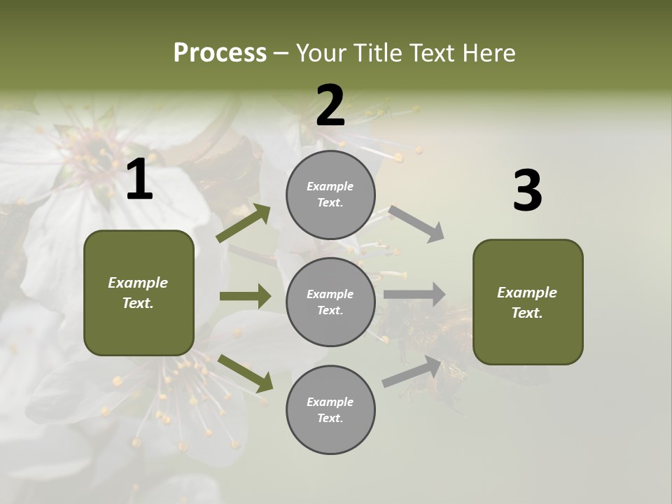 Nature Insect Flight PowerPoint Template