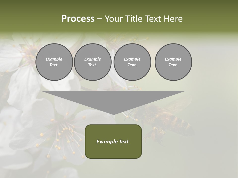Nature Insect Flight PowerPoint Template