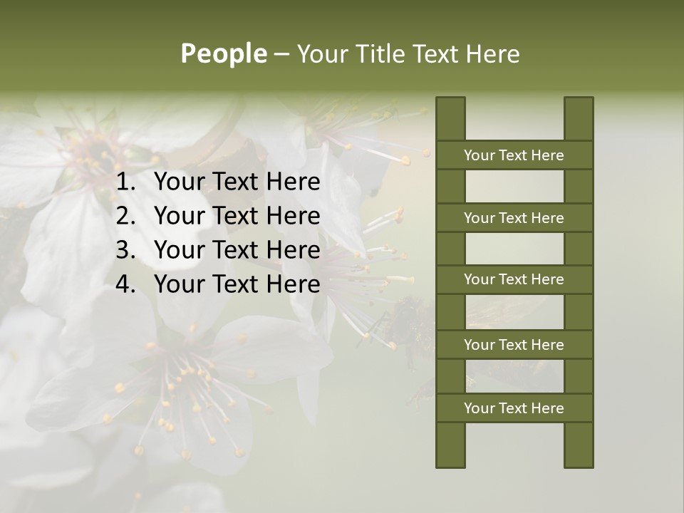 Nature Insect Flight PowerPoint Template