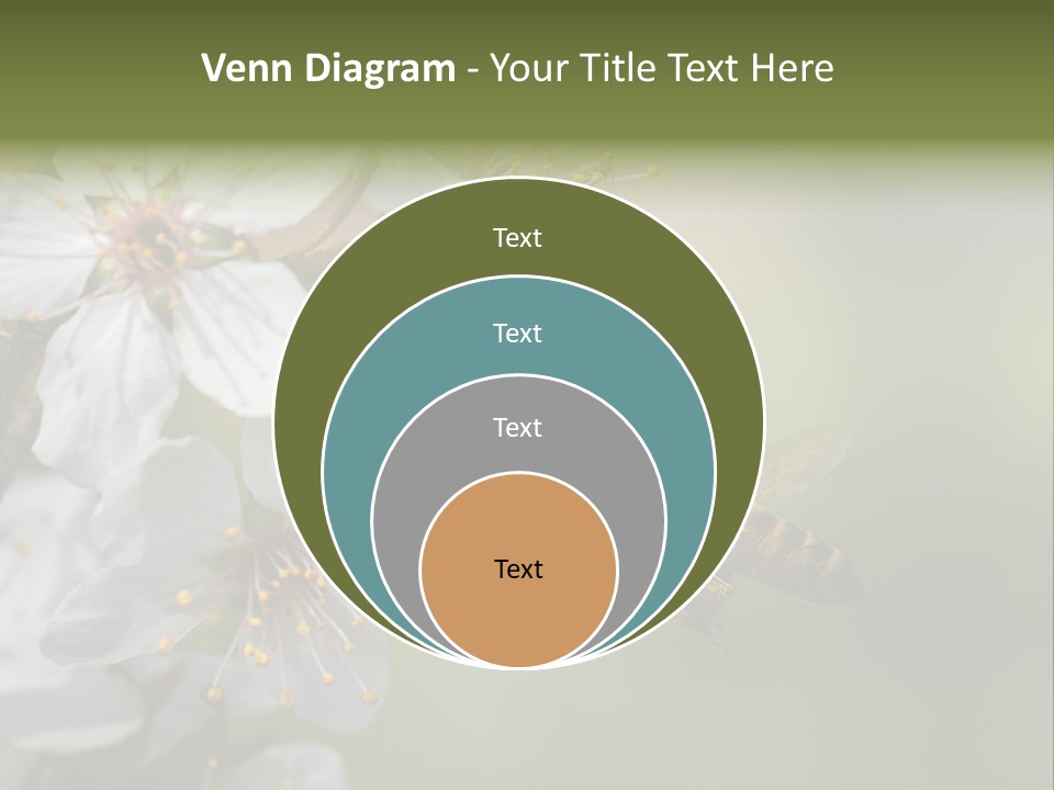 Nature Insect Flight PowerPoint Template