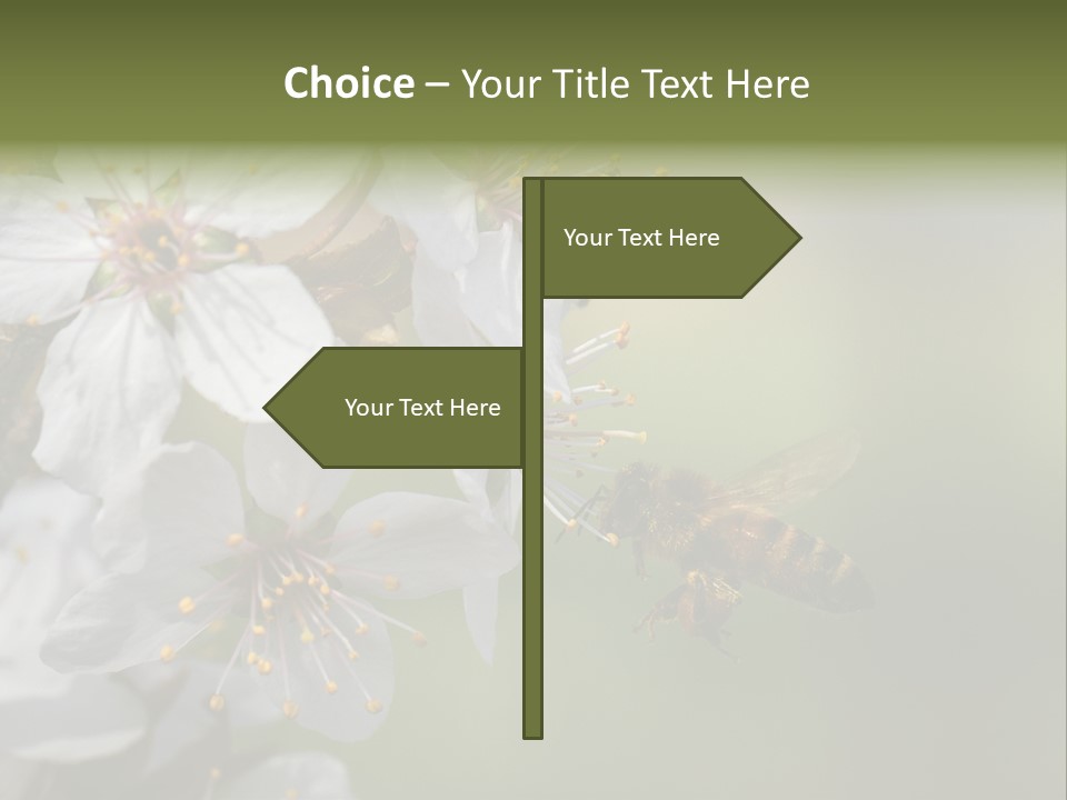 Nature Insect Flight PowerPoint Template