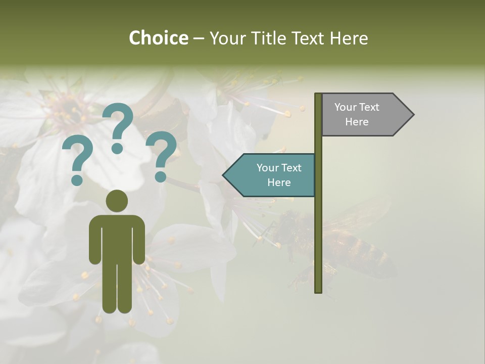 Nature Insect Flight PowerPoint Template