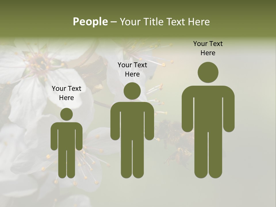 Nature Insect Flight PowerPoint Template