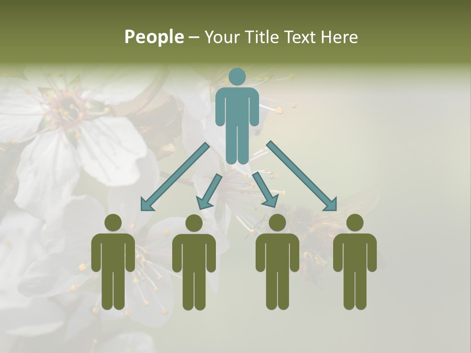 Nature Insect Flight PowerPoint Template