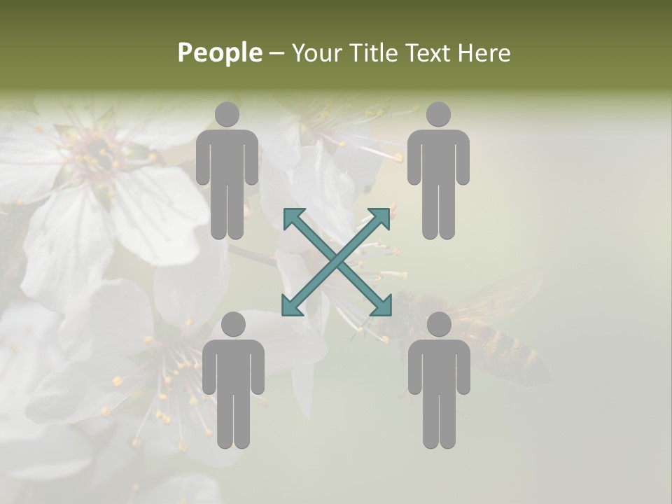 Nature Insect Flight PowerPoint Template