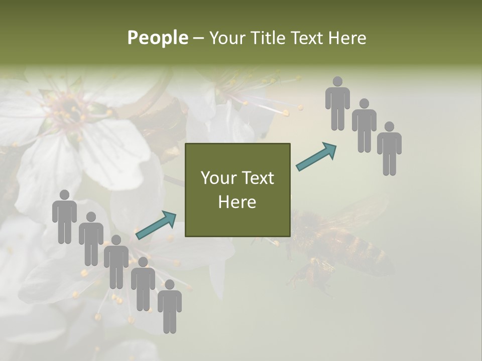 Nature Insect Flight PowerPoint Template