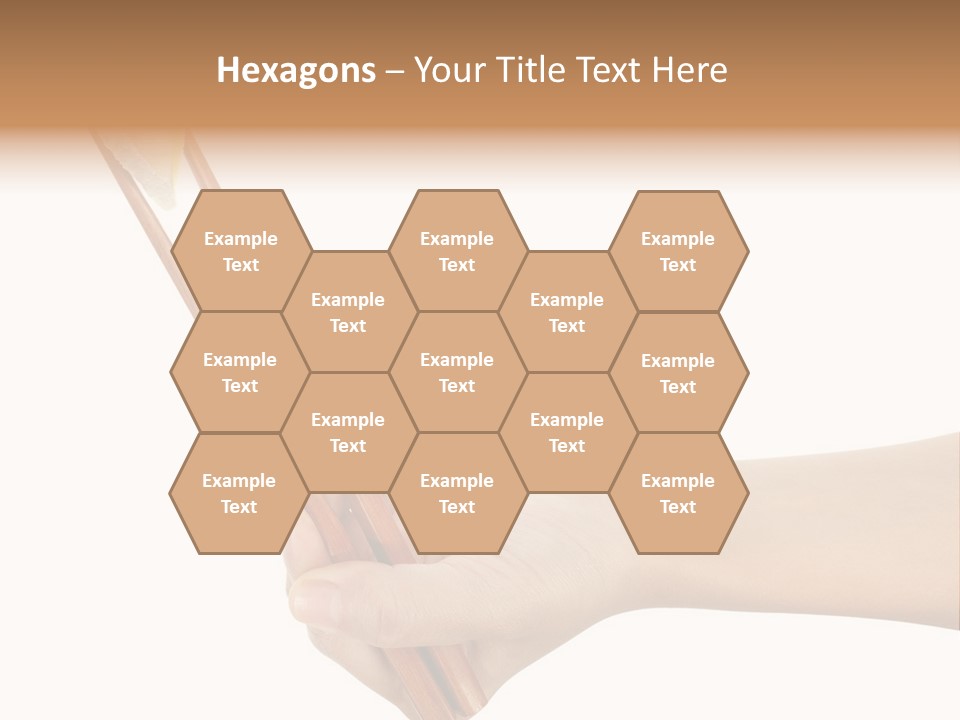 Healthy Roe Eat PowerPoint Template