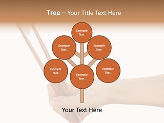 Healthy Roe Eat PowerPoint Template
