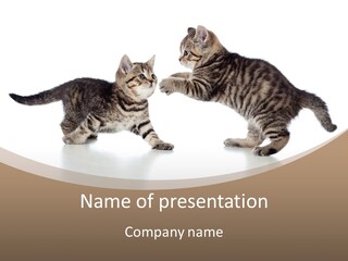 Pussy Postcard Front PowerPoint Template