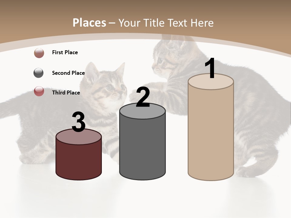 Pussy Postcard Front PowerPoint Template