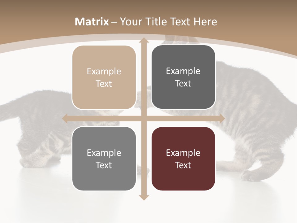 Pussy Postcard Front PowerPoint Template