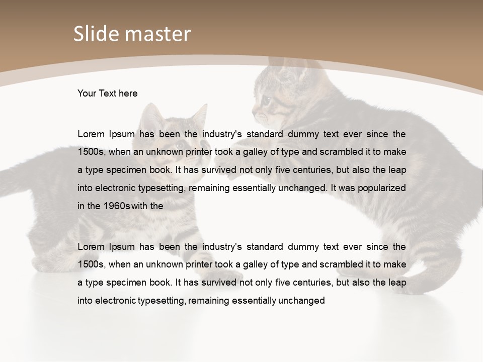 Pussy Postcard Front PowerPoint Template