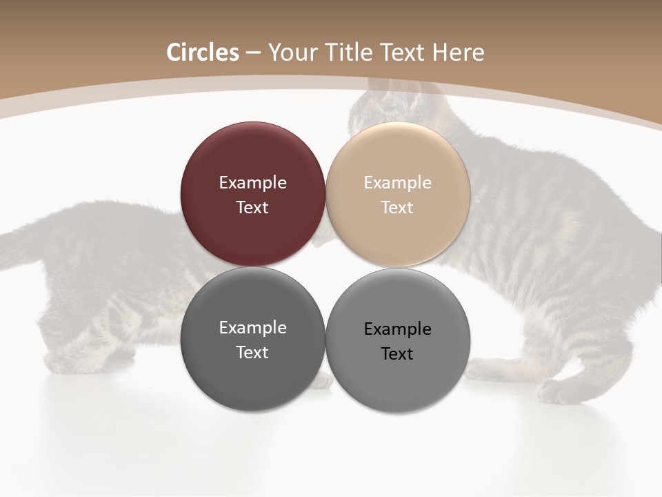 Pussy Postcard Front PowerPoint Template